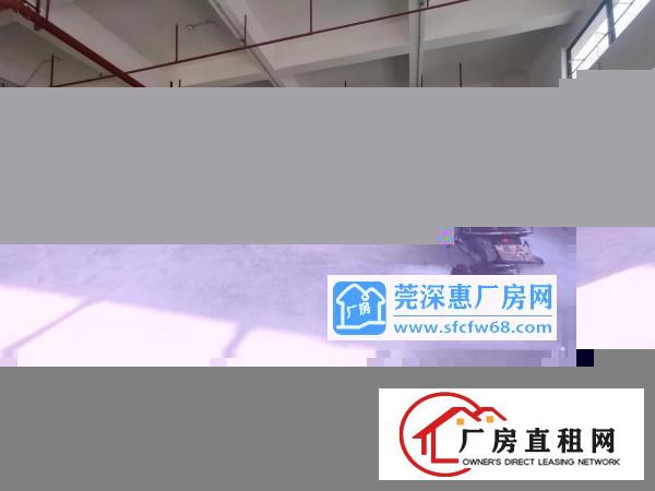  原房东，7200平花园式厂房底价直租，超大空地
