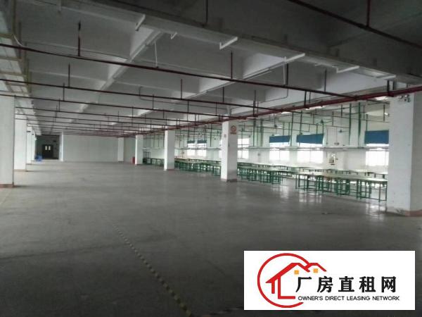  常平新出原房东标准厂房6000平方出租