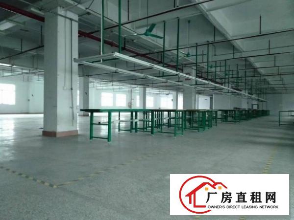  常平新出原房东标准厂房6000平方出租