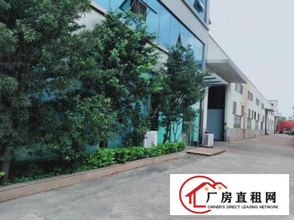  独院单层厂房7000平方，滴水十米带独立办公楼水电线路齐全