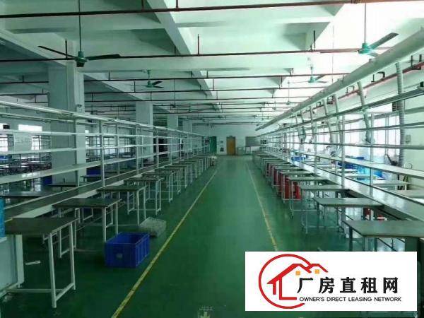  常平镇原房东独门独院6000平方厂房出租！