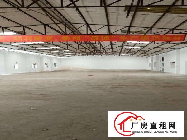  （特价）常平独院标准单一层钢构厂房2000平米，可办环评