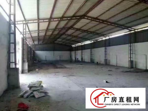  常平高速出口附近新出单一层3200平，高度9米可分租