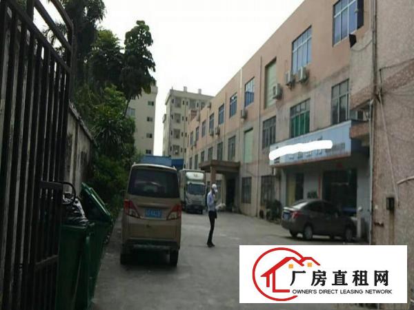  常平金美工业区全新地坪漆车间，现成前台3间办公室，水电线路齐