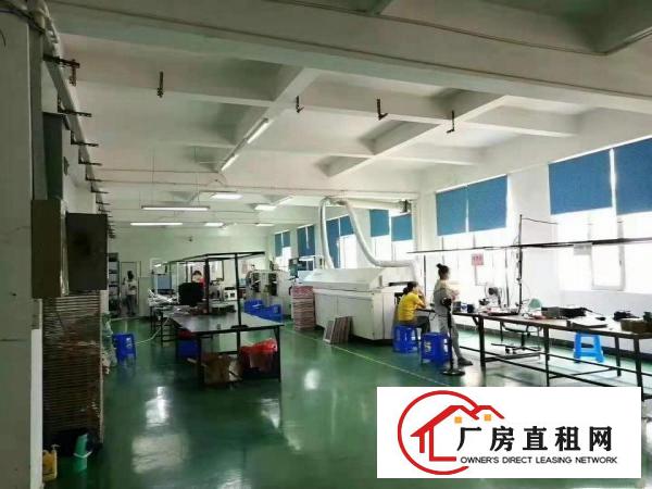  精装修办公室环氧地坪漆水电到位常平金美新出三楼厂房