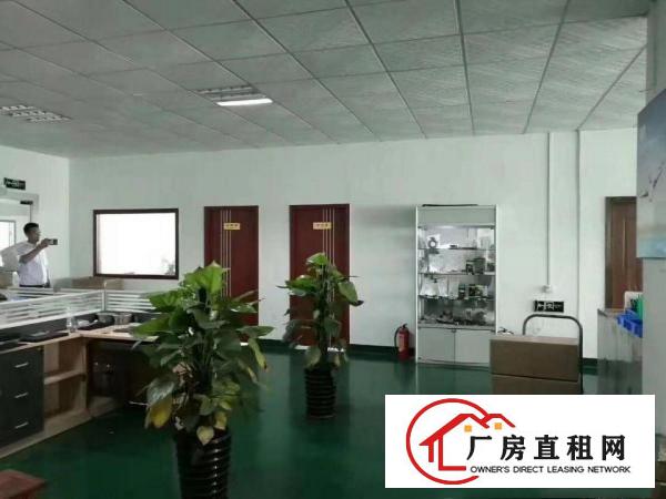  精装修办公室环氧地坪漆水电到位常平金美新出三楼厂房
