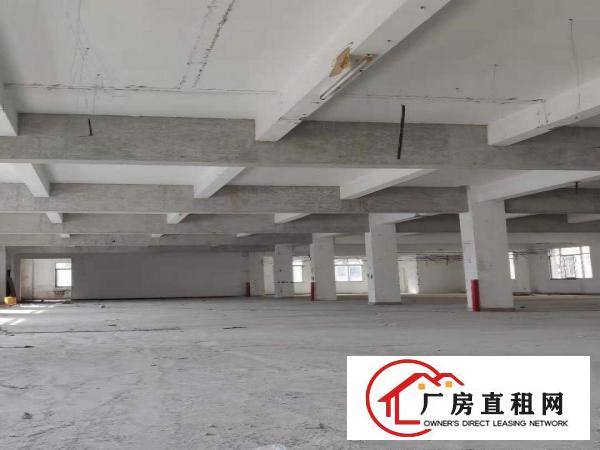  特价厂房出租坐标常平镇中心，交通便利，园区环境优美设施完善