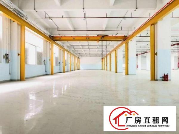  常平全新红本厂房，单层2300平，大小可分租，一楼带行车