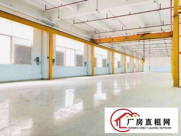  常平全新红本厂房，单层2300平，大小可分租，一楼带行车