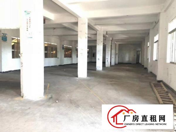  常平镇标准独院厂房约6300平方出租
