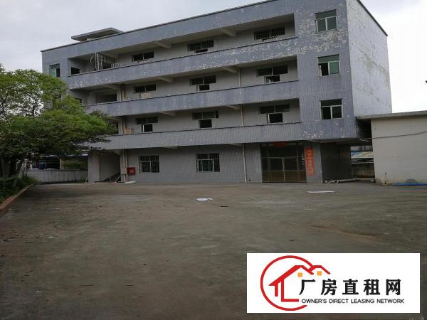  常平镇标准独院厂房约6300平方出租