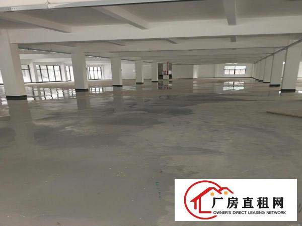  常平镇标准独院厂房约6300平方出租