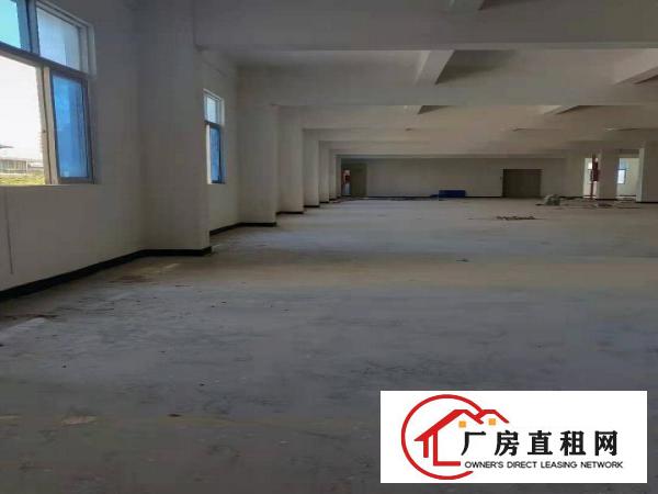  五一促销~常平木棆1450平厂房招租设备齐全低至15元起