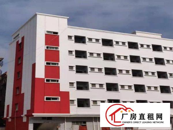  标准独院出租，1.3万平厂房加人才公寓，电梯，超大空地
