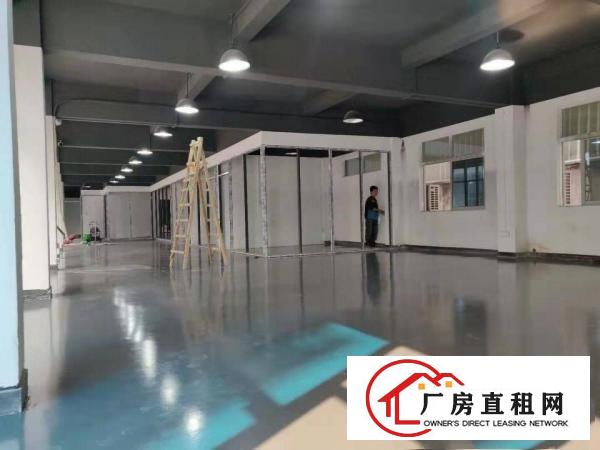  标准独院出租，1.3万平厂房加人才公寓，电梯，超大空地