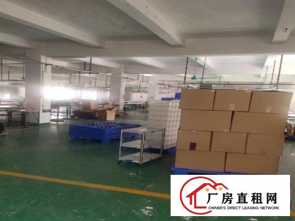  企石镇独院原房东厂房
