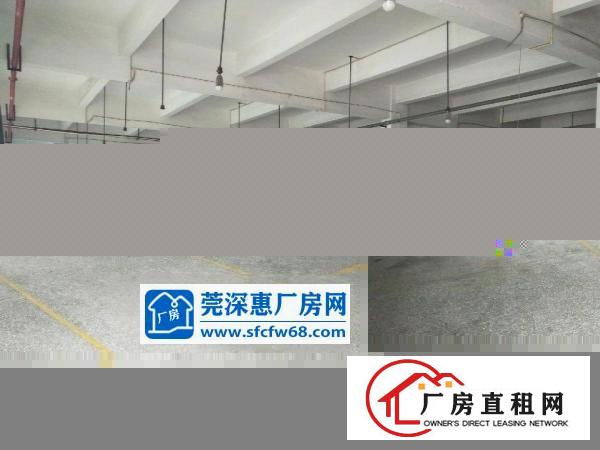  企石镇原房东招租三层标准厂房10000平方