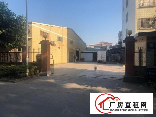  企石镇原房东单层厂房招租（可分租）