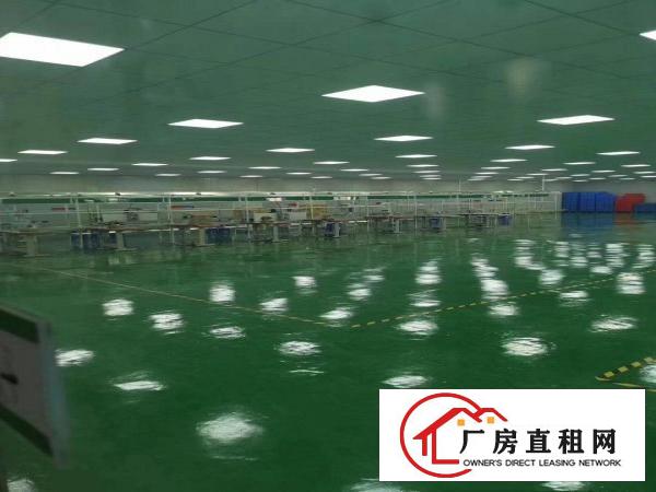  无尘车间。有现成地坪漆