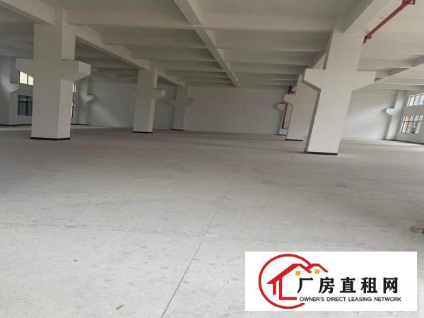  企石镇永发工业区新建好厂房急租
