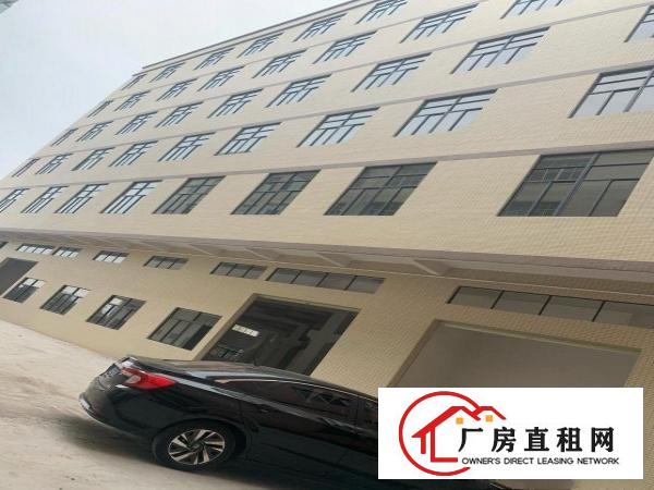  企石镇永发工业区新建好厂房急租