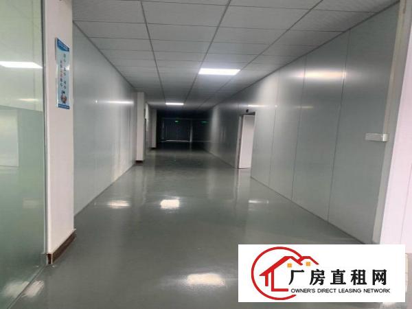  企石镇现成无尘车间装修厂房转让