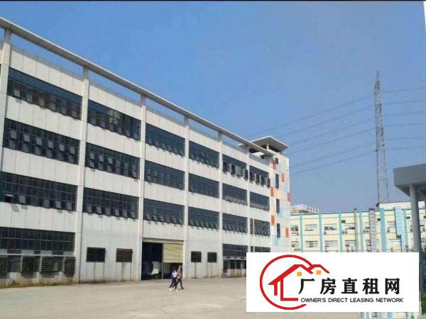  企石镇企石镇村楼上厂房500平招租，消防合格