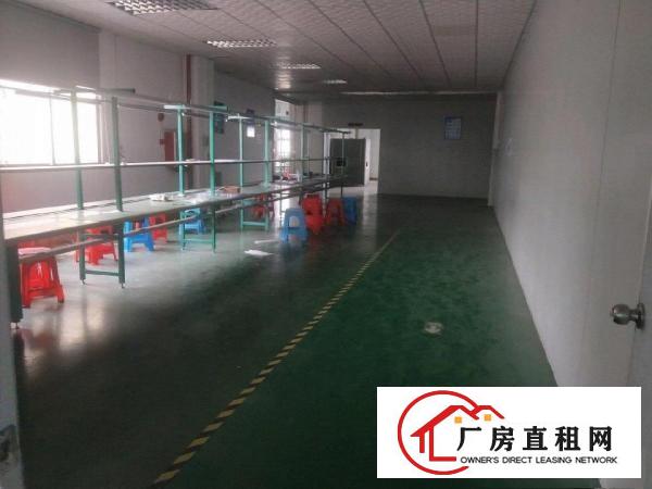  原房东新建标准厂房对外招租