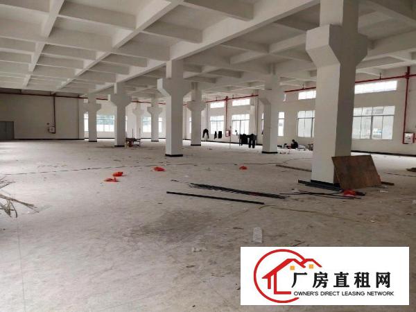 独门独院，标准三层，空地3000平方