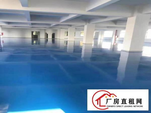  全新地坪漆标准厂房，配套齐全