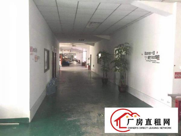  出租企石镇2400平厂房，原房东厂房招商，园林式园区形象好