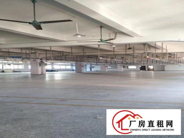  出租企石镇2400平厂房，原房东厂房招商，园林式园区形象好