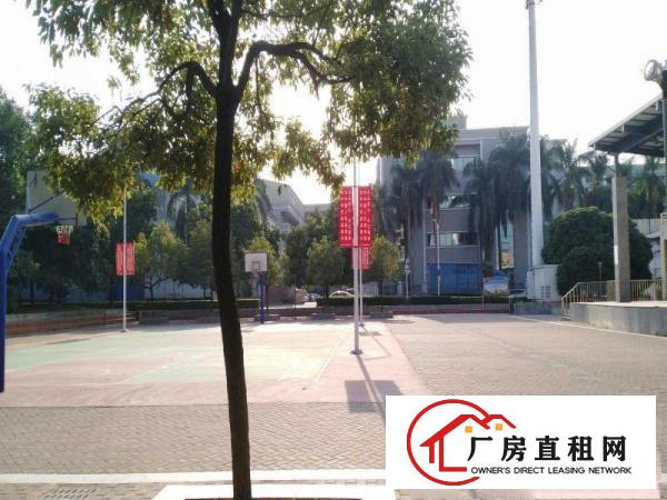  出租企石镇2400平厂房，原房东厂房招商，园林式园区形象好