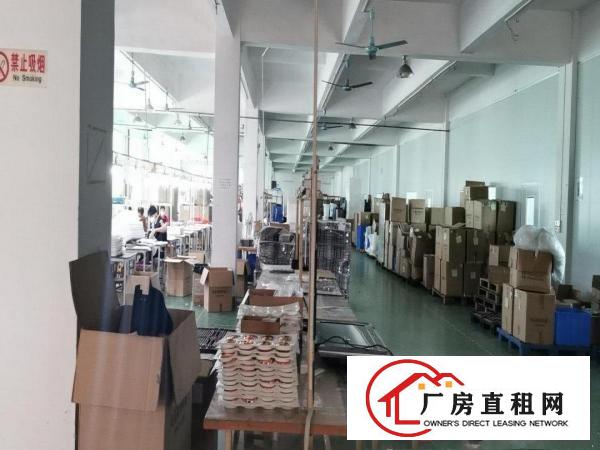  原房东独院标准厂房出租7500