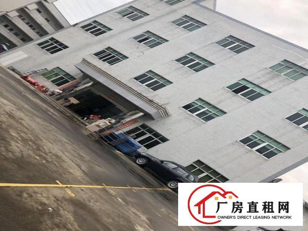  企石镇独门独院红本厂房
