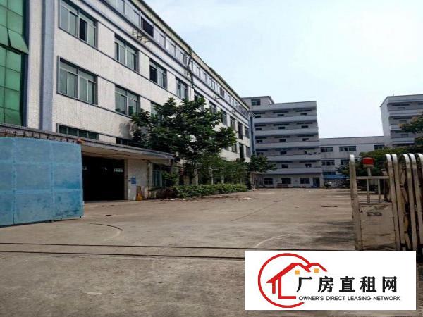  企石镇独门独院厂房大小分租