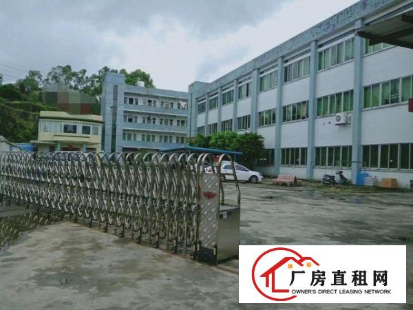  企石镇独门独院厂房大小分租