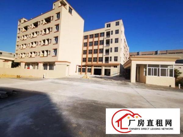  企石镇独门独院厂房大小分租