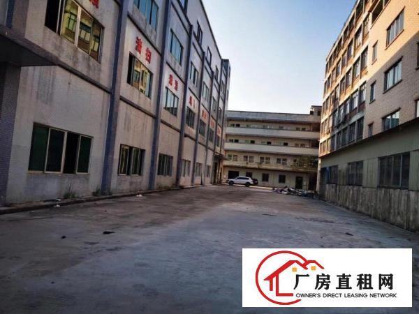 企石镇独门独院厂房大小分租