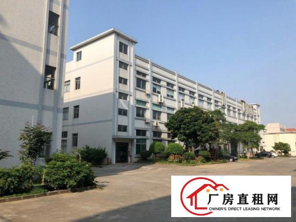  企石镇独门独院厂房大小分租