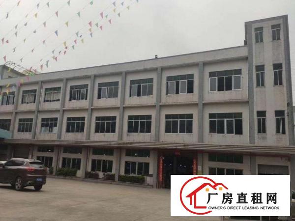  企石镇独门独院厂房大小分租