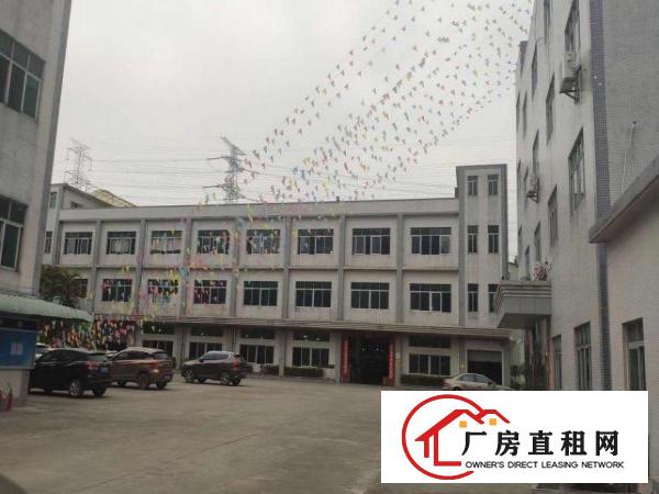  企石镇独门独院厂房大小分租