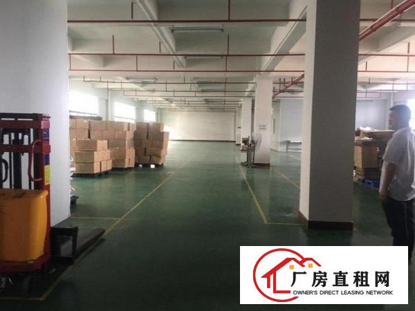  企石原房东独门独户4层厂房
