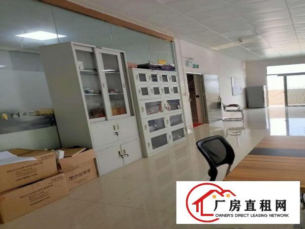  企石原房东独门独户4层厂房