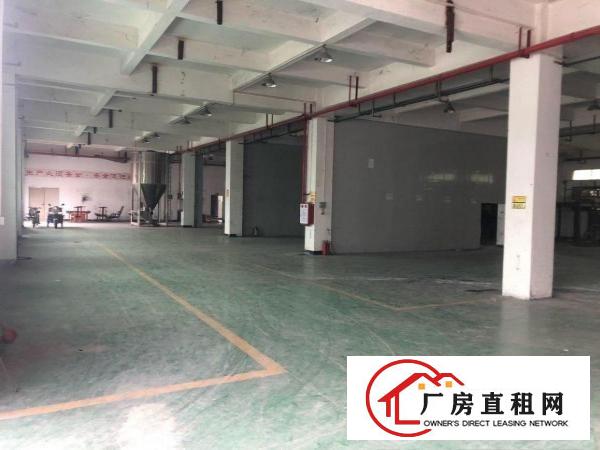  企石原房东混凝土标准厂房出租（可分租）