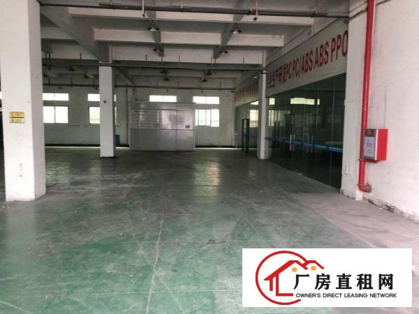  企石原房东混凝土标准厂房出租（可分租）