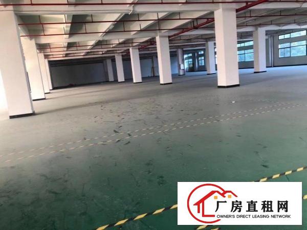  企石原房东混凝土标准厂房出租（可分租）