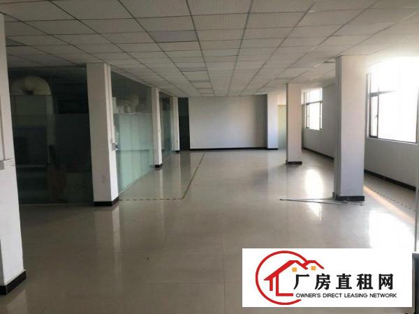  企石原房东混凝土标准厂房出租（可分租）