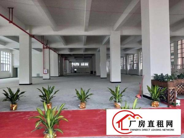  企石镇工业用地标准厂房出租