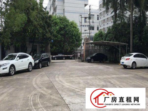  南坑村3楼厂房800平招租，办公齐全